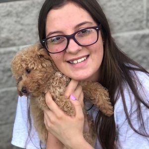 Meet your Posher, Bailey